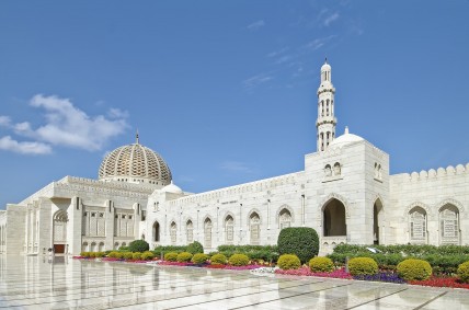 The mosque courtyard has one tree
