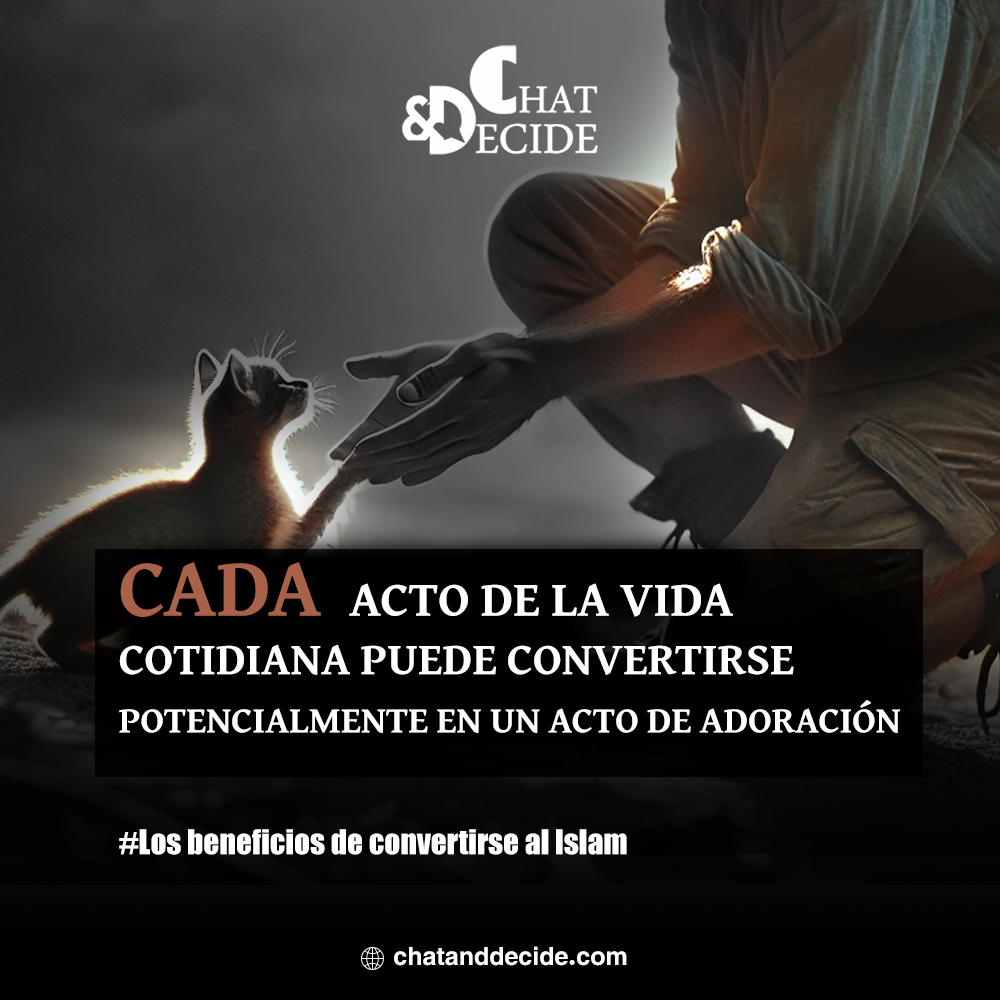 Los beneficios de convertirse al Islam / Cada acto de la vida cotidiana puede convertirse potencialmente en un acto de adoración