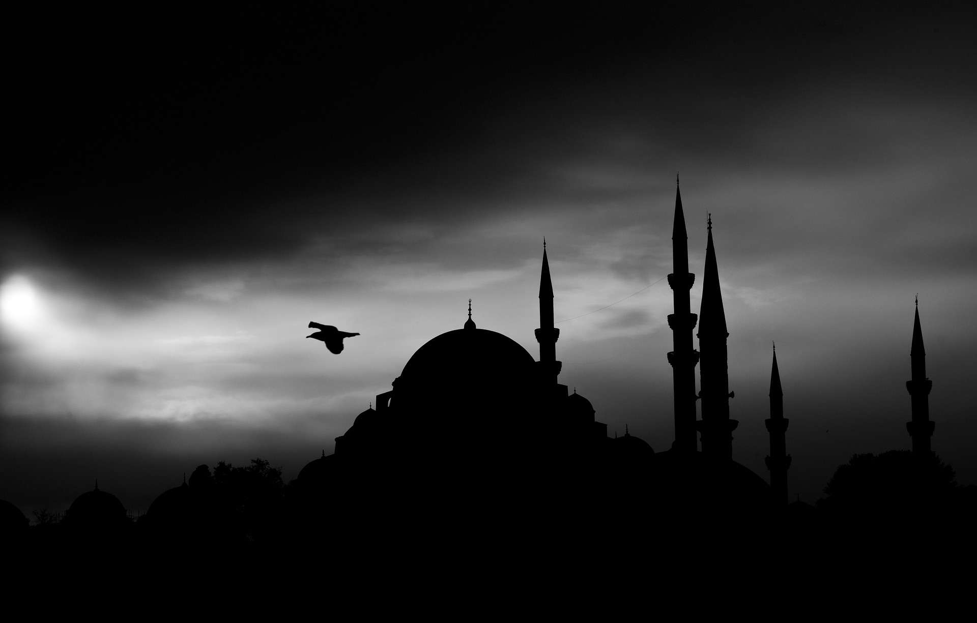 Exploring Islam for Consideration