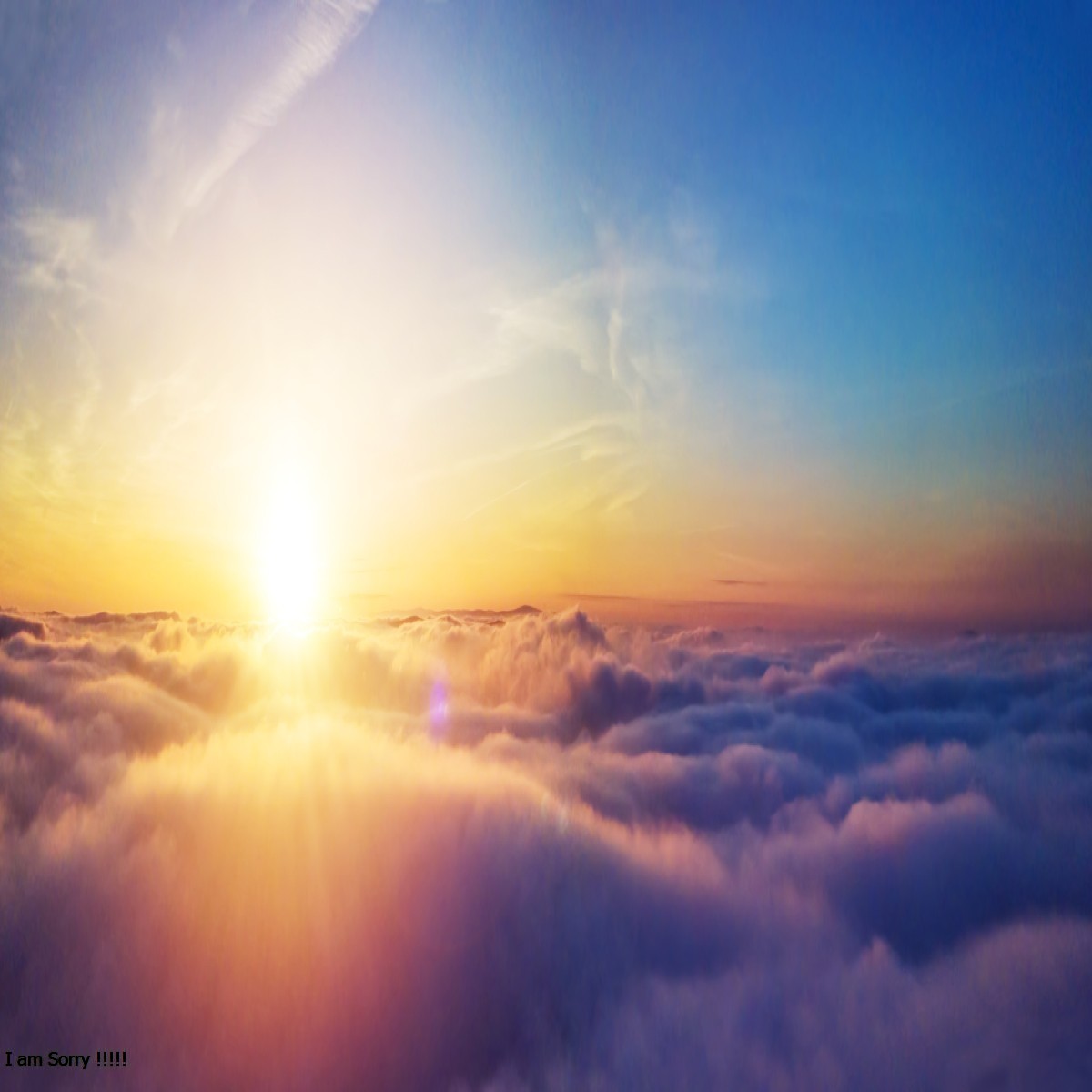 Seeking the Purpose Behind Our Existence
