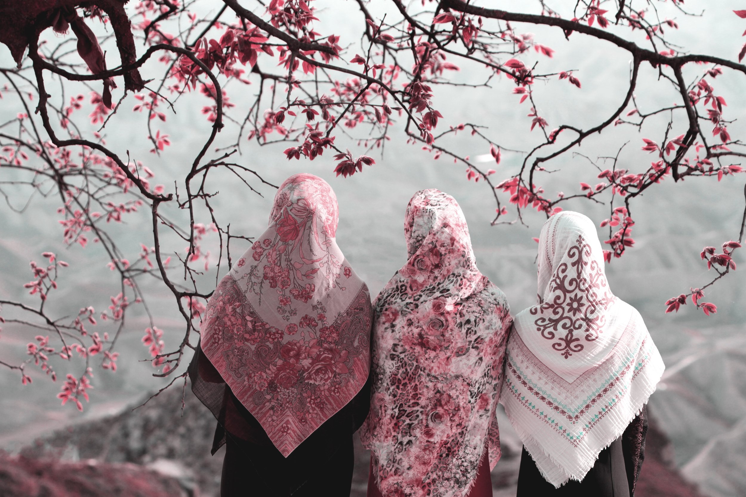 Địa Vị Phụ Nữ Trong Islam So Với Các Nền Văn Minh Và Tôn Giáo Khác